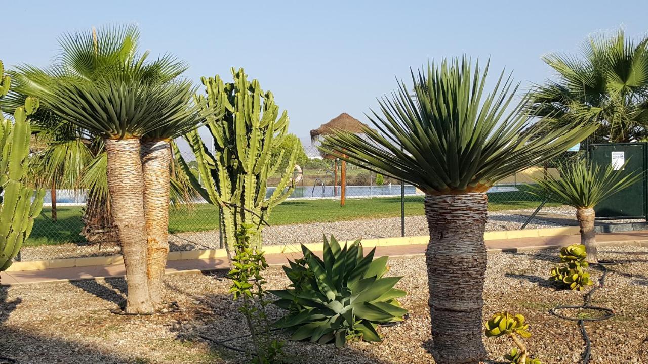 Apartments Sol de Almeria Golf y Playa Retamar  Exterior foto